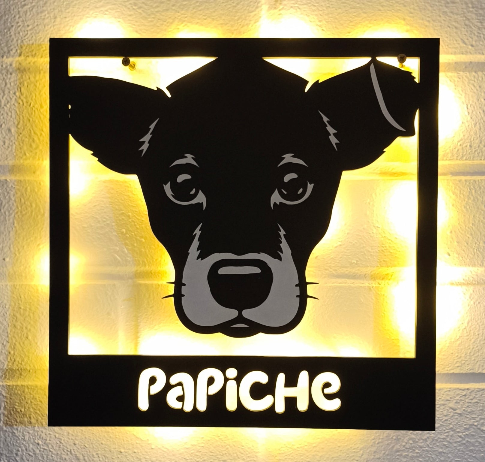 Cuadro Mascota Personalizado
